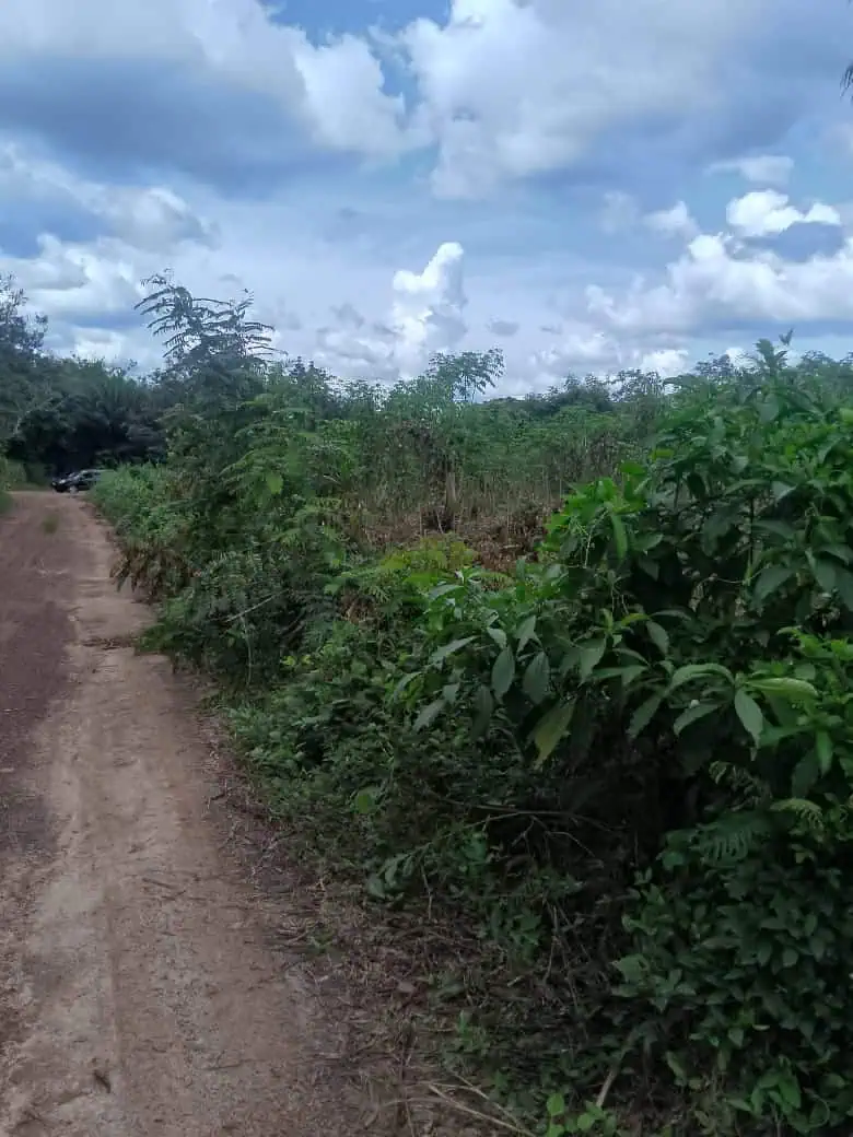 Terrain de 300m² à Yopougon